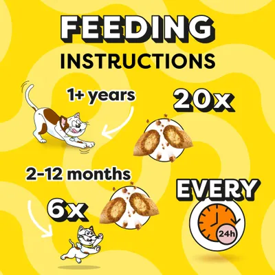 Dreamies Big Pack Cat Treats - Salmon