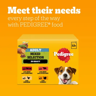 Pedigree Pouch Mixed Selection in Gravy Multipack - 12 x 100g Pedigree Pouch Mixed Selection in Gravy Multipack - 12 x 100g