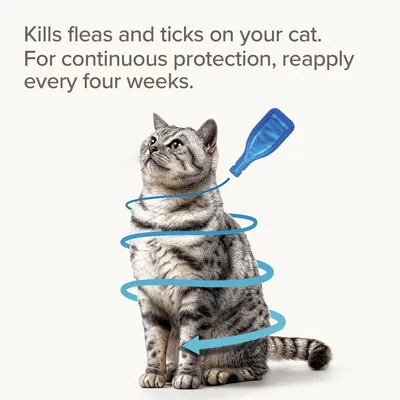 Kills fleas and ticks on your cat. For continuous protection, reapply every four weeks.
