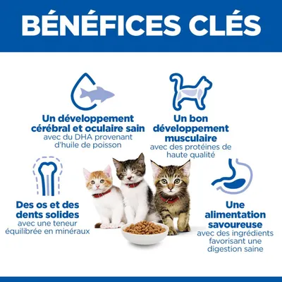 Quatre principaux avantages : développement sain du cerveau et des yeux, bonne croissance musculaire, os et dents solides, aliment savoureux avec des ingrédients pour une digestion saine.