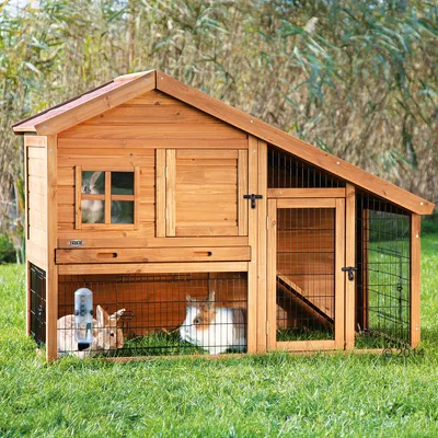 Clapier en bois Trixie avec deux lapins à l’intérieur, abri fermé avec fenêtre et porte, espace grillagé, biberon d’eau fixé sur la grille.