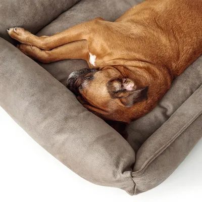 Hnědý pes leží v měkkém, šedohnědém pelíšku s vysokými okraji z textilu.
