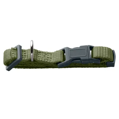 Collare per cani verde in nylon con chiusura in plastica e anello in metallo per fissaggio. Taglia regolabile visibile.