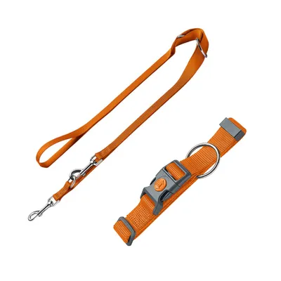 Orangefarbene Hundeleine mit Metallhaken und passendes Halsband mit Klickverschluss und Metallring.