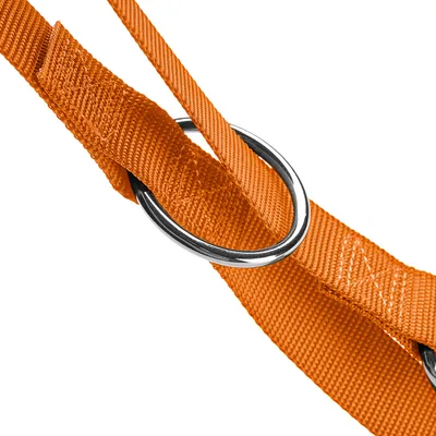 Nahaufnahme eines orangefarbenen Nylon-Gurts mit silbernem Metallring, geeignet für Hundegeschirr oder Leine.