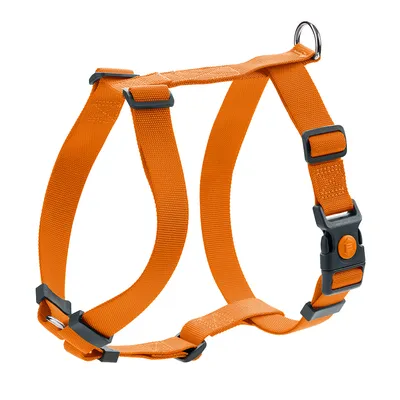 Oranje tuigje met verstelbare banden, kunststof gespen en metalen ring voor bevestiging. Geschikt voor huisdieren.