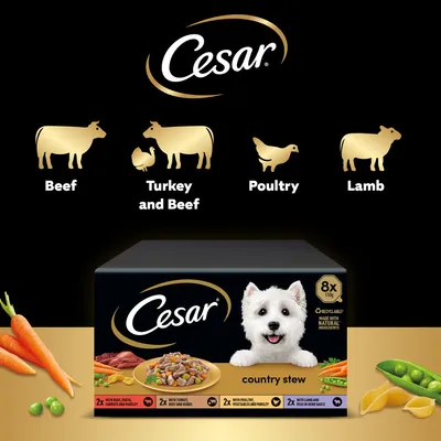 Cesar Country Stew Mixed Pack