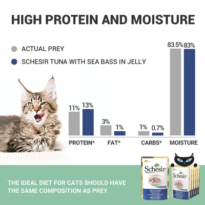 Γραφική σύγκριση θρεπτικών συστατικών: Schesir Tuna with Sea Bass in Jelly έναντι actual prey. Πρωτεΐνη 13% vs 11%, λίπος 1% vs 3%, υγρασία 83% vs 83,5%. Συσκευασίες Schesir ορατές.