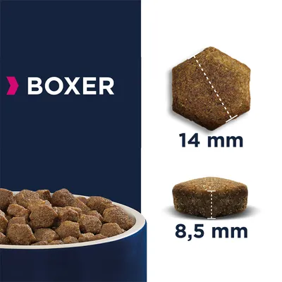 Boxer suché krmivo s veľkosťou granúl: priemer 14 mm, výška 8,5 mm. Zobrazený je tvar a rozmery granúl a miska s krmivom.