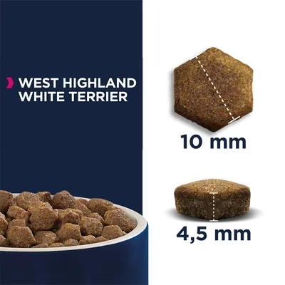 West Highland White Terrier. Kibble size: diameter 10 mm, height 4.5 mm. Image of kibbles in a bowl and individually with measurements.