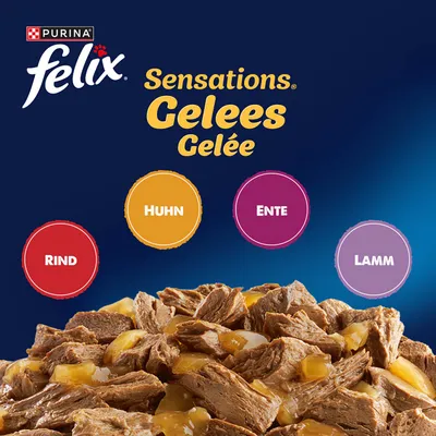 Sparpaket Felix "Sensations" Pouches 48 x 85 g - Geschmacksvielfalt vom Land in Gelee Sparpaket Felix "Sensations" Pouches 48 x 85 g - Geschmacksvielfalt vom Land in Gelee