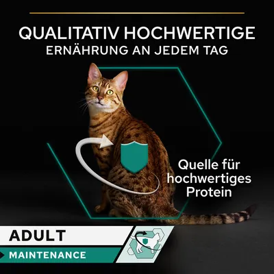 Qualitativ hochwertige Ernährung an jedem Tag. Quelle für hochwertiges Protein. Adult Maintenance mit Katzen-Symbol.