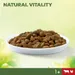 Perfect Fit Natural Vitality Adult 1+ nauta & kana