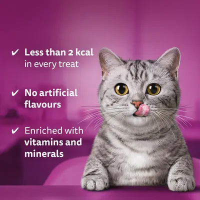 Less than 2 kcal per treat, no artificial flavours, enriched with vitamins and minerals.