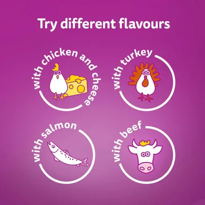 Product available in four flavours: chicken and cheese, turkey, salmon, and beef. Text and illustrations show each flavour option.