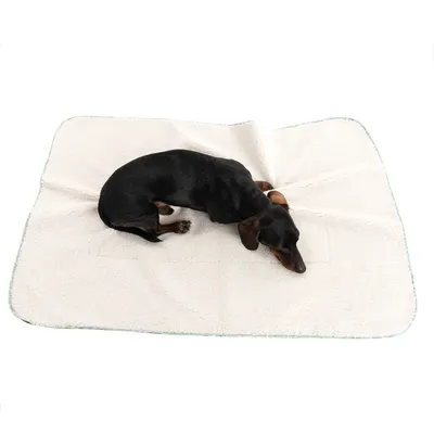 Schwarzer Hund liegt auf einer rechteckigen, cremefarbenen Decke mit grüner Umrandung.