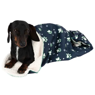 Hund liegt in einem dunkelblauen Schlafsack mit weißen Pfotenabdrücken und Schneeflocken, Innenfutter aus weißem Plüsch.