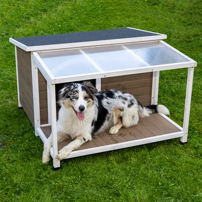 Niche pour chien en bois avec toit incliné partiellement transparent, posée sur une pelouse, chien de taille moyenne allongé à l’intérieur. Matériaux visibles : bois, plastique.