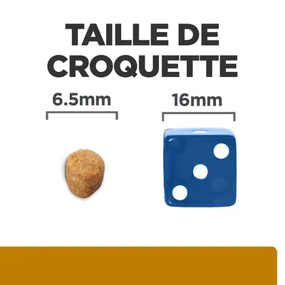 Taille de croquette : comparaison visuelle entre une croquette de 6,5 mm et un dé bleu de 16 mm. Texte visible : TAILLE DE CROQUETTE, 6.5 mm, 16 mm.