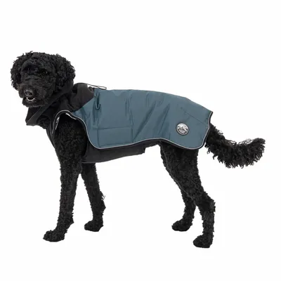 Hund trägt eine blaue wasserabweisende Hundejacke mit reflektierenden Streifen und Logoaufdruck auf der Seite.