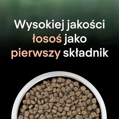 Текст на польском: Wysokiej jakości łosoś jako pierwszy składnik. На изображении миска с сухим кормом.