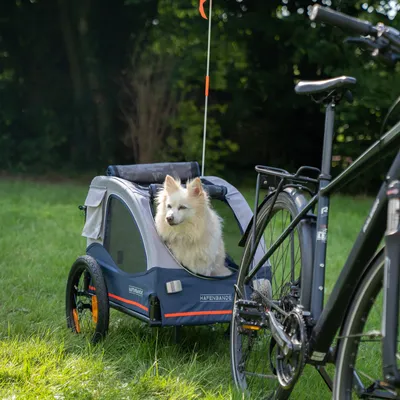 Przyczepka rowerowa dla zwierząt Hafenbande, szara z oknami z siatki i flagą bezpieczeństwa. Pies siedzi w przyczepce, rower widoczny z przodu.