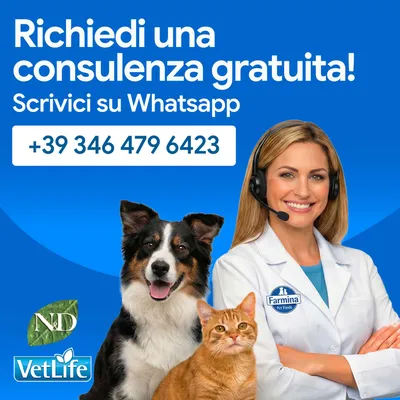 Richiedi una consulenza gratuita. Scrivici su WhatsApp: +39 346 479 6423. Richiedi una consulenza gratuita. Scrivici su WhatsApp: +39 346 479 6423.