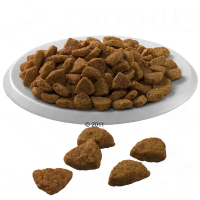 Суха храна за домашни любимци с триъгълна форма, сервирана в бяла чиния. Видими са няколко отделни гранули пред чинията.