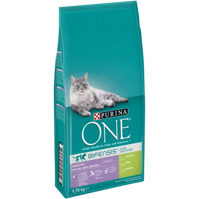 Purina ONE Bifensis Dual Defence Sensitive dry cat food, 9.75 kg bag, visible text includes 'Visible Health for Today and Tomorrow', turkey flavour, with image of a grey cat on front.