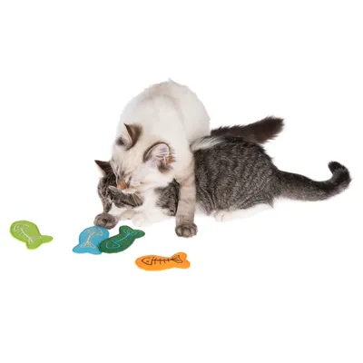 Twee katten spelen met kleurrijk stoffen speelgoed in de vorm van vissen.