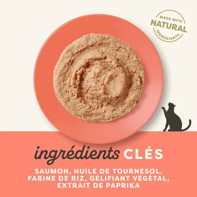 Applaws Mousse 6 x 70 g pour chat Applaws Mousse 6 x 70 g pour chat