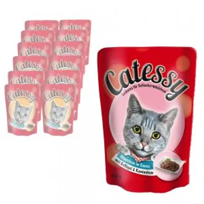 Catessy-kissanruoka-annospusseja, pakkauksessa kissan kuva ja teksti: 'Catessy', 'Häppchen in Sauce mit Geflügel & Karotten', 100 g. Useita pusseja näkyvissä.
