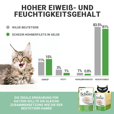 Hoher Eiweiss- und Feuchtigkeitsgehalt. Vergleich: Wilde Beutetiere vs. Schesir Hühnerfilets in Gelee. Ideale Ernährung für Katzen mit ähnlicher Zusammensetzung wie Beutetiere.