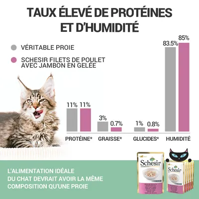 Graphique comparant Schesir filets de poulet avec jambon en gelée à une véritable proie : protéines 11 %, graisses 0,7 %, glucides 0,8 %, humidité 85 %. Texte : alimentation idéale du chat.