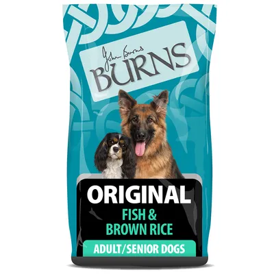 Burns Adult & Senior Original - Pesce & Riso integrale Crocchette per cane