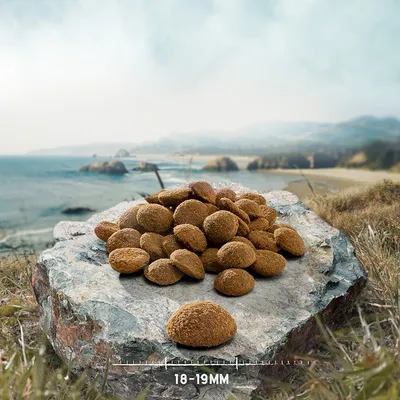 Braune, runde Kroketten auf einem Stein mit Grössenangabe 18-19mm. Hintergrund zeigt eine Landschaft mit Meer und Hügeln.