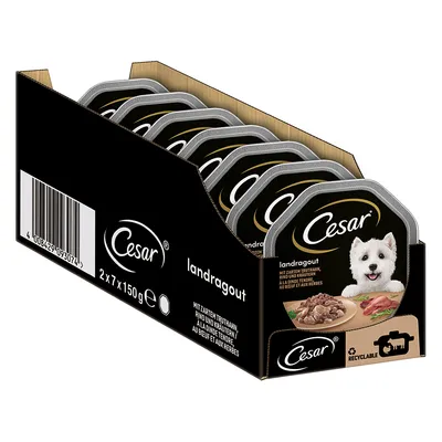 Cesar landragout multipack, 2×7×150g trays, visible barcode, recyclable symbol, image of small white dog and food on packaging. Product name and branding clearly shown.