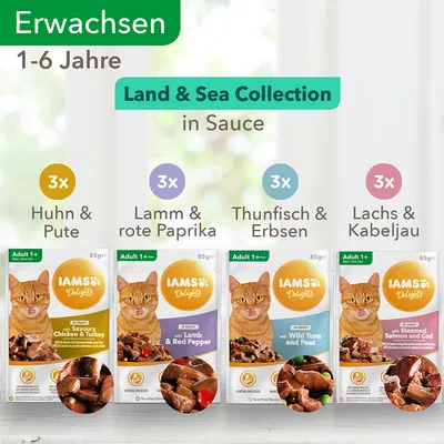 IAMS Delights Land & Sea Collection in Sauce, aikuisille kissoille 1–6 vuotta. 3x kana & kalkkuna, 3x lammas & paprika, 3x tonnikala & herneet, 3x lohi & turska. Pakkaus 85 g annospusseja.