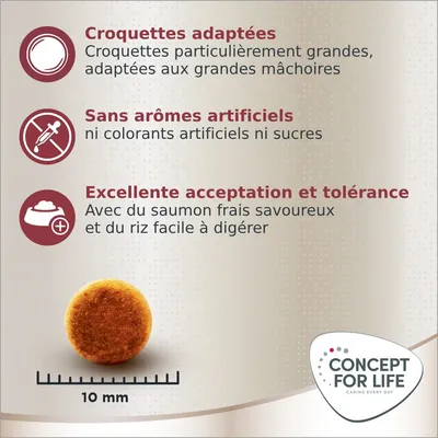 Croquettes adaptées grandes mâchoires, sans arômes ni colorants artificiels ni sucres, saumon frais savoureux et riz digeste, croquette ronde diamètre 10 mm, Concept for Life.