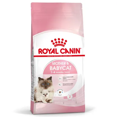 ROYAL CANIN Mother & Babycat 1-4 months, supports the health of mother and kitten, strong immune system, easily digestible.