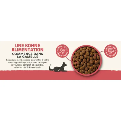 Croquettes avec mention de prébiotiques et postbiotiques. Texte : Une bonne alimentation commence dans la gamelle, soigneusement préparée, équilibrée et riche en bienfaits naturels.