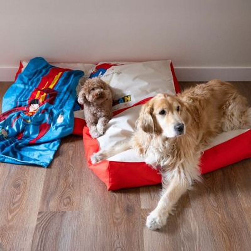 DC Superman hondenmatras