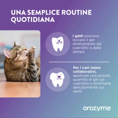 Istruzioni: I gatti possono leccare il gel direttamente dal ditale o dalla zampa. Per i cani meno collaborativi, applicare una piccola quantità di gel sul ditale e strofinare delicatamente sui denti. Istruzioni: I gatti possono leccare il gel direttamente dal ditale o dalla zampa. Per i cani meno collaborativi, applicare una piccola quantità di gel sul ditale e strofinare delicatamente sui denti.