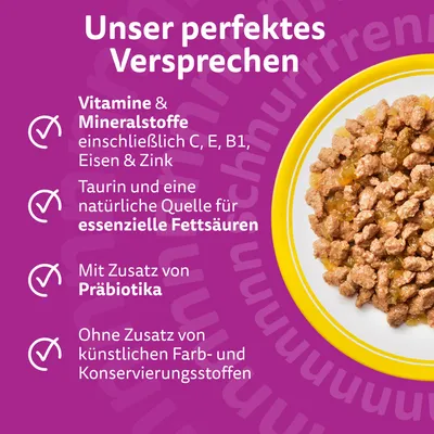 Megapack Whiskas Senior Frischebeutel 24 x 85 g