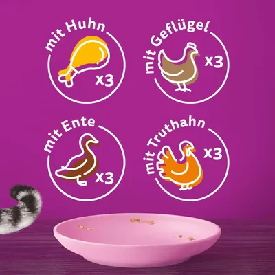 Produkt enthält 3 Portionen mit Huhn, 3 mit Geflügel, 3 mit Ente und 3 mit Truthahn. Rosa Napf auf Holztisch sichtbar.