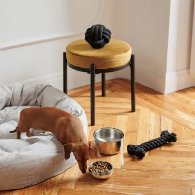 Modern Living Papua въжен кокал