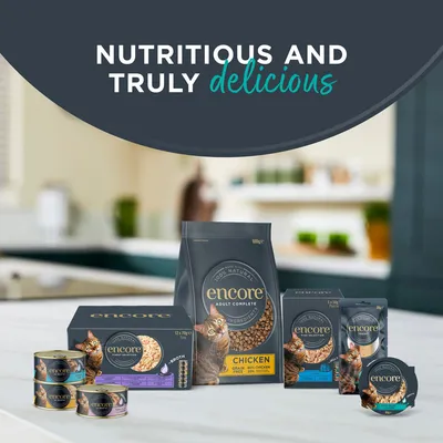Sparpaket Encore konzerva 32 x 70 g