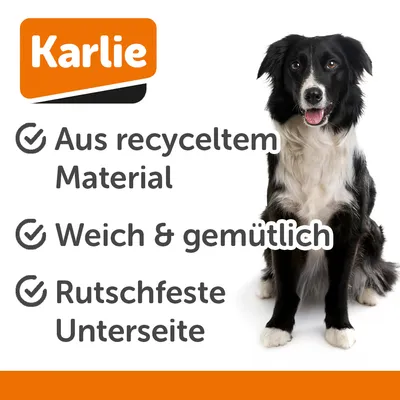 Karlie Liegebett Charly