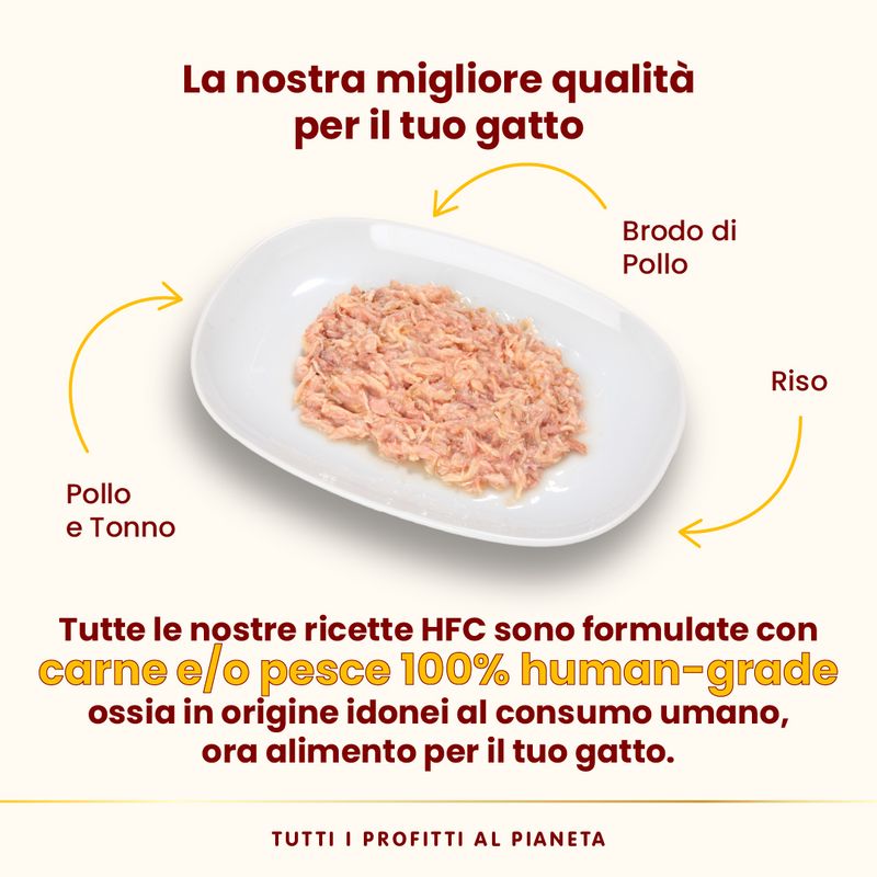 Almo Nature HFC Natural 12 x 70 g umido gatto