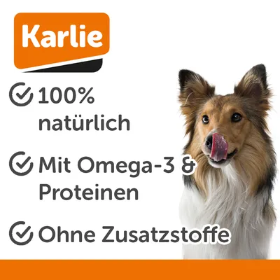 Peau de saumon Karlie pour chien